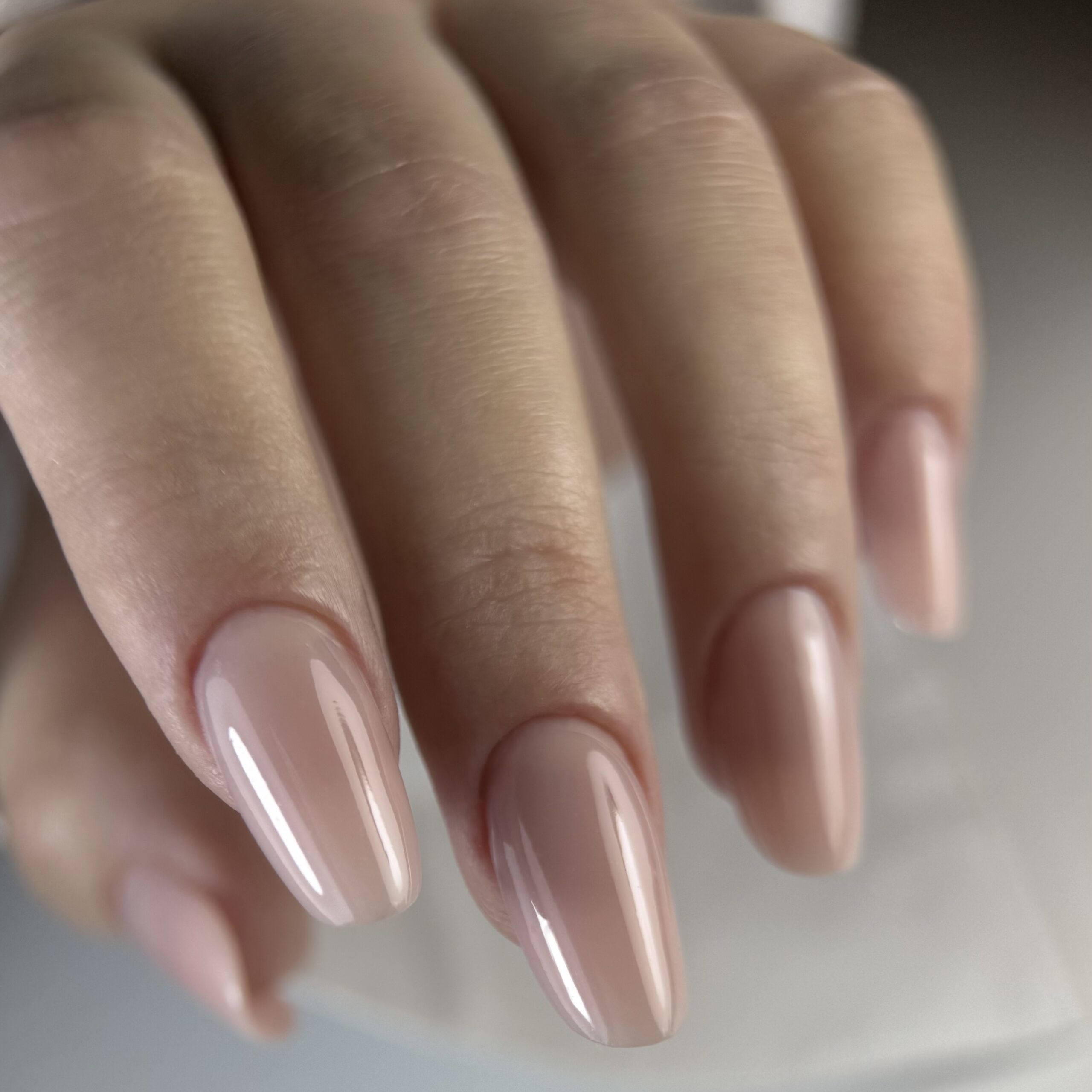 SHAPE: SALON OVAL
